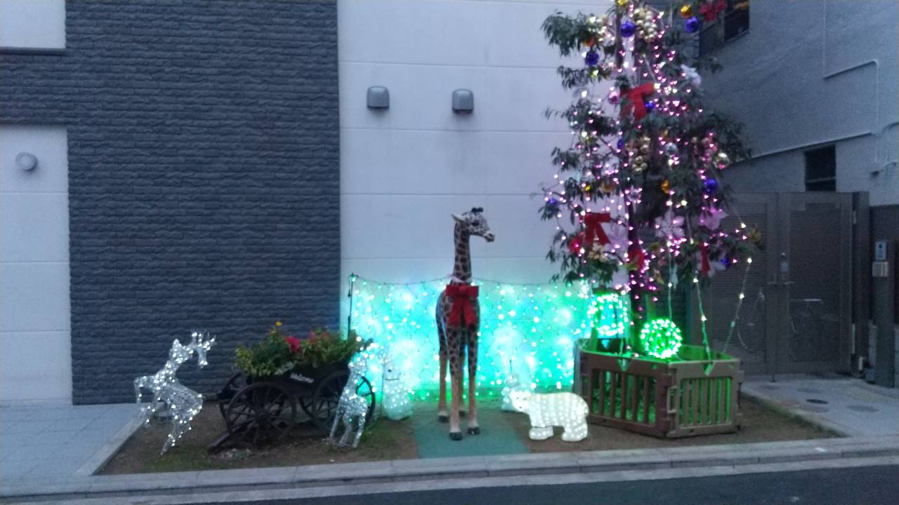 【武蔵野市】クリスマスイルミネーションが点灯しました【むくむくみらい保育園】